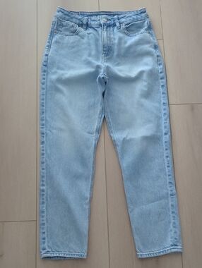 AE Strigid Mom Jean